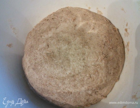 Так выглядит опара через 3 дня созревания в холодильнике. 