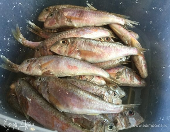А пока пожарим нашу рыбу. Барабульку промойте под холодной водой.