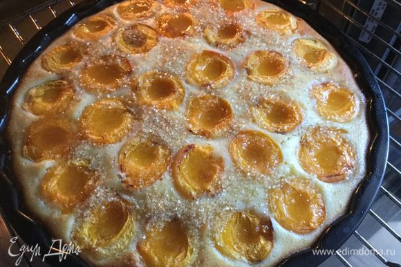 Форму диаметром 28 см смажьте маслом, вылейте тесто, выложите половинки абрикос, срезом вверх. Присыпьте пирог оставшимся сахаром и выпекайте в духовке 45 минут.