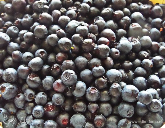 Сегодня снова ходила за черникой.