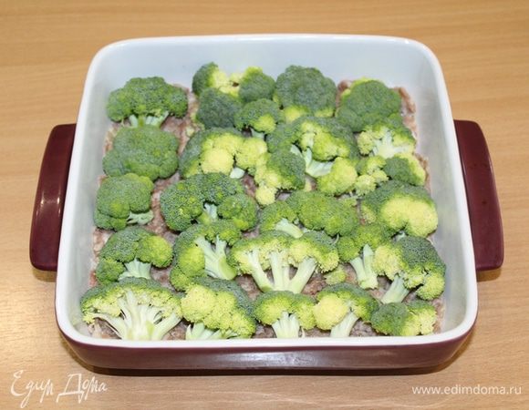Теперь сверху выложите свежую брокколи, разобранную на соцветия.