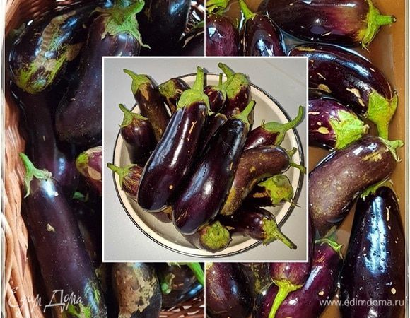 Но это, когда лето. А зимой что делать? 
Вот тут и вспомнилось, что существует эта самая замечательная и вкусная еда, как соленый или квашеный, как угодно, фаршированный баклажан.
Сдается мне, что существует множество рецептов приготовления этой закуски. Какой вперед, какой потом — это все на любителя рассуждения. Я расскажу о том, как приготовили их мы. Нам так больше понравилось. И знающие люди сказали, что именно этот рецепт. В общем, есть такой рецепт, и он нам понравился.
Итак.
Первым делом — гигиенические процедуры. С огорода, из корзинки ягоды сначала были сложены в раковину и залиты холодной водой. Не на долго. Буквально полчаса они там полежали, а потом их хорошо промыли под струей проточной воды.
