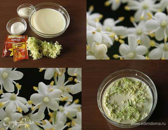 Молоко, манная крупа, сахар, ванильный сахар и соцветия бузины (в ингредиентах цветы цуккини). Вместо соцветий можно добавить в молоко сироп из цветов бузины. 
Соцветия заливаем молоком на ночь. Соцветия не моем, сохраняем пыльцу.