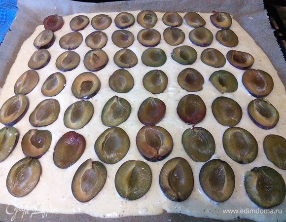 Вымыть сливы, разрезать их пополам, удалить косточки и разложить по поверхности пирога дольками, ломтиками или половинками. У меня ушло чуть меньше килограмма. 