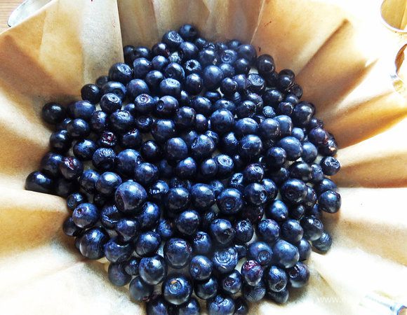 Насыпать густо сверху теста. Если черника замороженная у вас, то не размораживать!