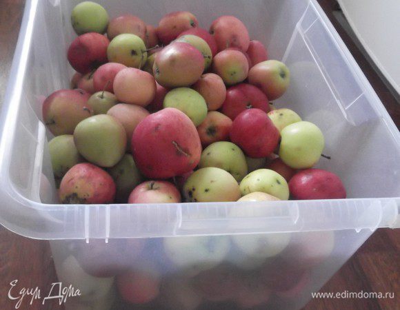 В идеале для белевской пастилы нужен сорт антоновка, но подойдет и любой другой несладкий сорт. Особенно такой рецепт выручит, если яблок много.
