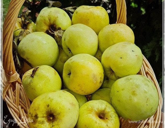 Конечно, чтобы пастилу приготовить, надо, во-первых, яблоки с дерева собрать, домой принести и помыть, конечно. Хоть они и из своего сада и ничем не обрабатывались химическим, но все же. В общем, вымойте обязательно.