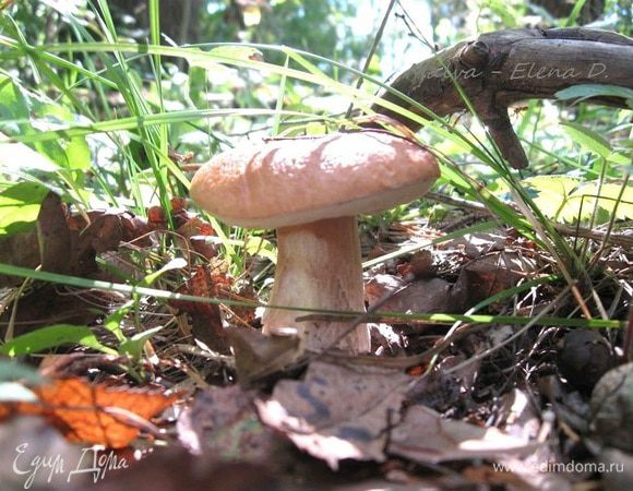 А вот обещанная фотография.