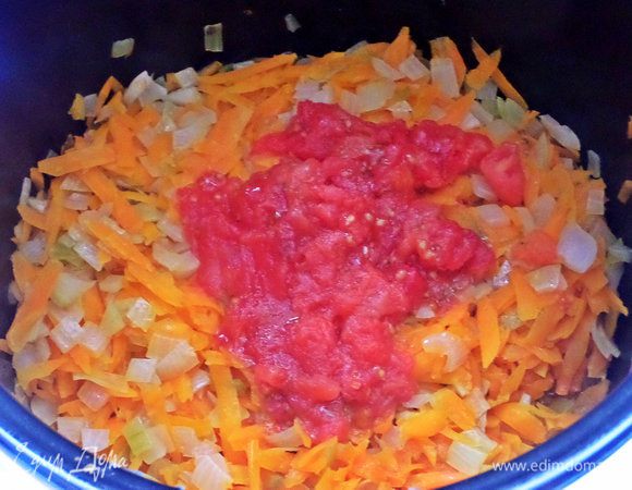 Добавить томаты без кожицы.