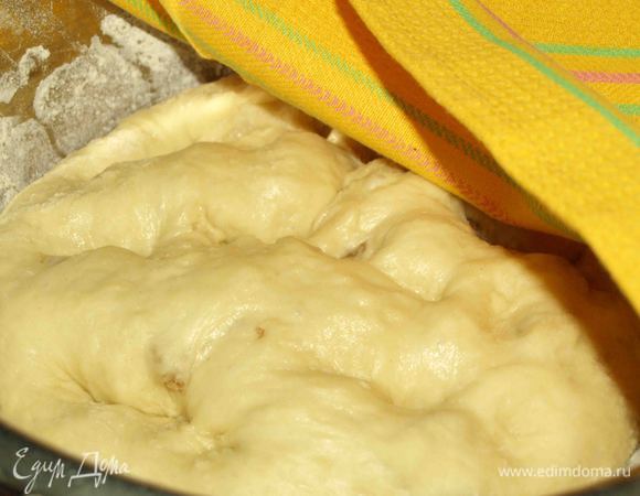 Тесто отправляем в миску. Даем ему подняться 1 час. 