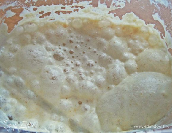 Смешать все для опары, оставить  в теплом месте на 20 минут.