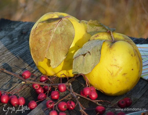 Приятных осенних моментов!