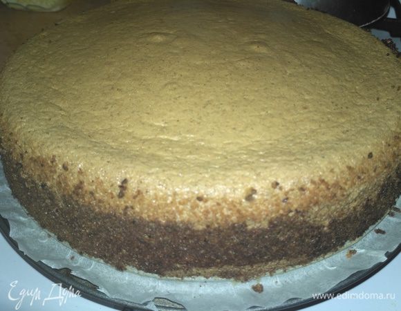 Вот наш готовый ореховый бисквит.