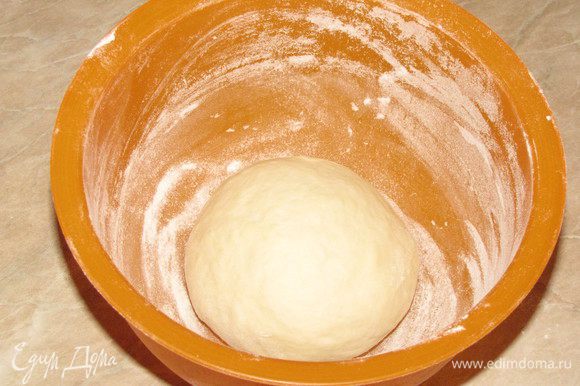 Замесить мягкое эластичное тесто. Вымешивать примерно минут 10, пока тесто не перестанет липнуть к рукам. Собрать тесто в шар, переложить в миску, обсыпанную мукой, накрыть крышкой или полотенцем и поставить в теплое место для подъема, примерно на 1—2 часа, в зависимости от того, как сработают дрожжи.