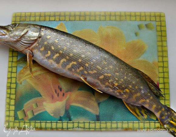 Подготовить и хорошо промыть щуку. Очистить рыбу от чешуи.