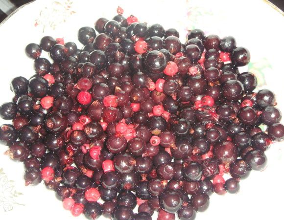 Смородину промыть и обсушить.