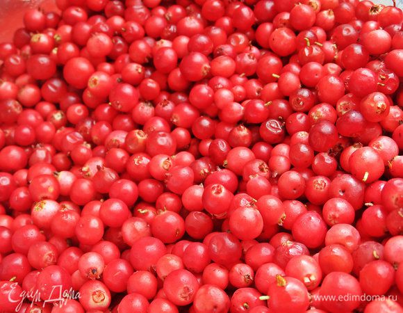 Бруснику зимой берем прямо замороженную. Или смородину, малину, фрукты кусочками.