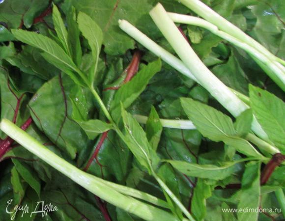 Между тем приготовить начинку. Листья свеклы, мяту и зеленый лук промыть и хорошо просушить.