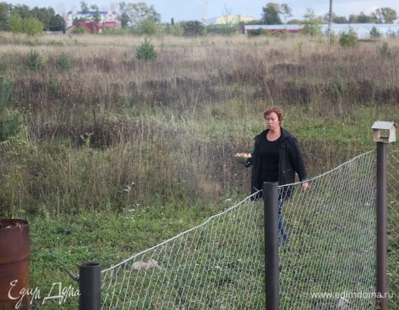 Грибы желательно лесные, например, замороженные, но подойдут и просто шампиньоны хоть свежие, хоть тоже замороженные.
Мне хорошо, маслята растут прямо около дома, потому что живу за городом, точнее, в деревне на окраине города. Несколько раз за сезон мы с дочкой собираем в считанные минуты свежих грибочков, готовим из них, а излишки замораживаем. Часть замораживаем в сыром виде, часть в жареном. Вот именно жареные замороженные грибы и пригодились для салата!