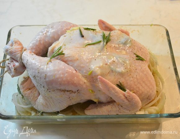 Лук нарезать кольцами и выложить на блюдо для запекания. Сверху выложить курицу тушкой вверх, перевязав ножки. Полить оставшимся лимонным соусом и оливковым маслом. Накрыть фольгой и выпекать в хорошо разогретой духовке при 180 — 200°С 1 час.
