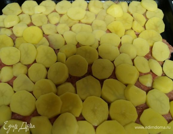 Выкладываем на противень (предварительно смазанный подсолнечным маслом) слоями вначале фарш, потом картофель.