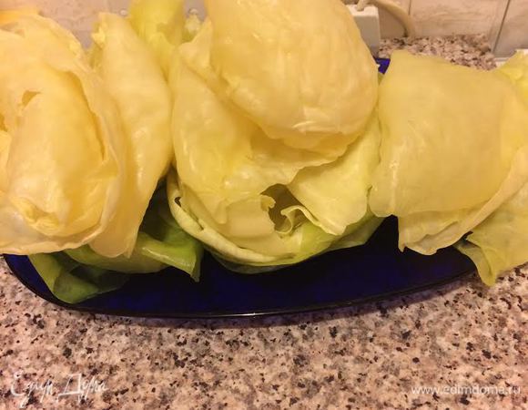 И делаю это, пока все листья не будут сняты.