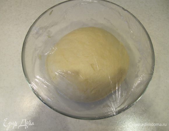 Тесто должно быть гладким и эластичным. Всего на вымешивание теста потребуется около 10 минут. Поместить тесто в смазанную растительным маслом емкость, сверху слегка смазать растительным маслом, накрыть пищевой пленкой и отправить в теплое место на 1 час.