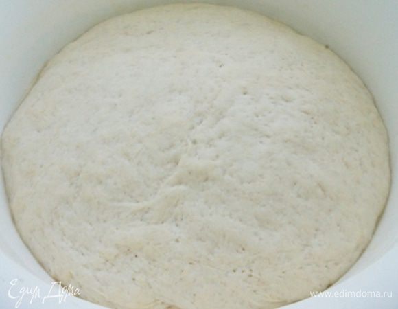 Вот так поднялось тесто через час.