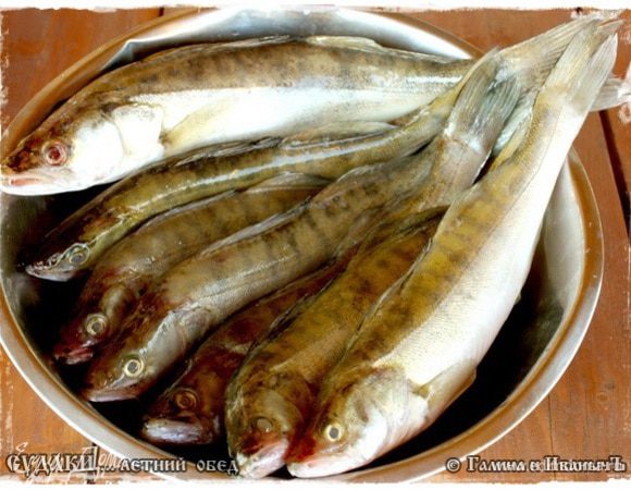 Что-то на потом отложили, а каких-то рыбок решили на обед пригласить.