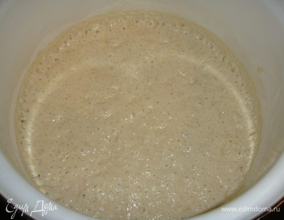 Так выглядит тесто через 8 часов.