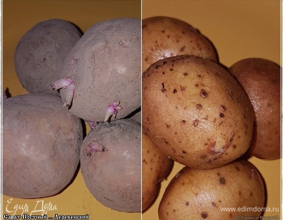 Перво-наперво, картошка. Подвал у нас сухой, поэтому хранится картошка замечательно. А ростки? Ну так и что? Пора уже им пробиваться, тем более что картошка у нас не по-европейски вытравленная, а самая что ни на есть живая. Вот. Достали пяток, значит, картошек из закромов и хорошо помыли.
