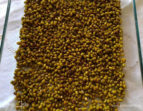 Выкладываем маш в плоское блюдо.