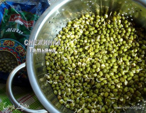 Стакан маша ТМ «Националь», в котором поместилось 170 г боба, заливаем холодной водой. Оставляем в воде на 8 часов. По истечении времени воду сливаем, маш остается в дуршлаге, промываем его и оставляем, прикрыв полотенцем, на сутки, промывая дважды в день под струей воды. Вот такие росточки у меня появились уже через сутки. Как оказалось, прорастает маш быстро.