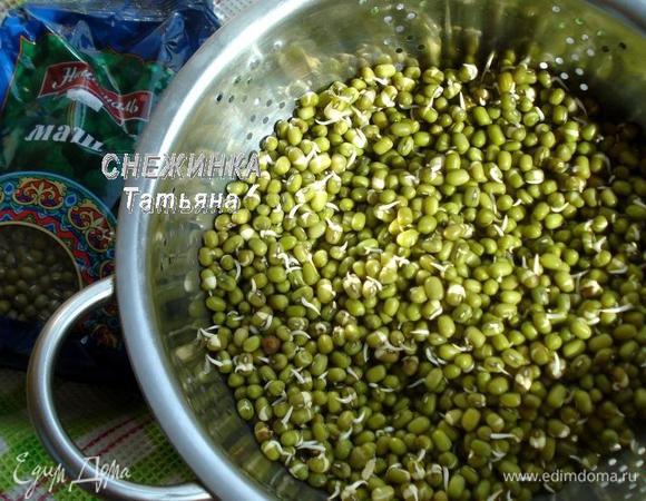 Стакан маша ТМ «Националь», в котором поместилось 170 г боба, заливаем холодной водой. Оставляем в воде на 8 часов. По истечении времени воду сливаем, маш остается в дуршлаге, промываем его и оставляем, прикрыв полотенцем, на сутки, промывая дважды в день под струей воды. Вот такие росточки у меня появились уже через сутки. Как оказалось, прорастает маш быстро.