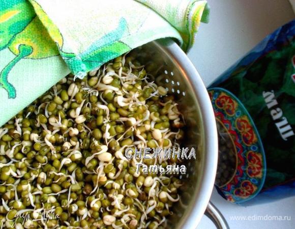 А вот так он выглядел через 2,5 дня. Главное не пропустить момент, когда ростки еще около 1 см, иначе пользы уже не будет.