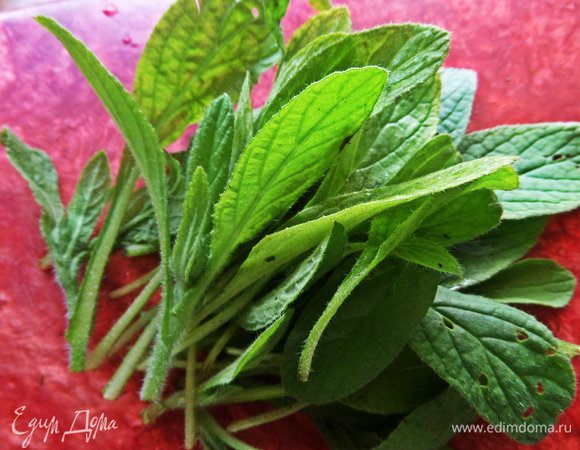 Для начинки взяла на этот раз огуречную траву. Когда ее пожуешь, во рту появляется вкус свежего огурца.