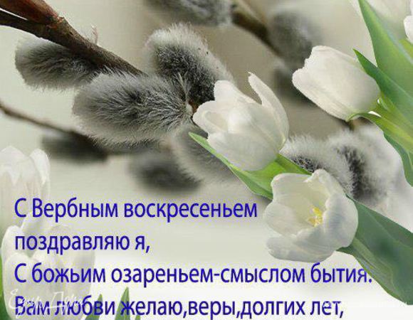 С праздником всех!