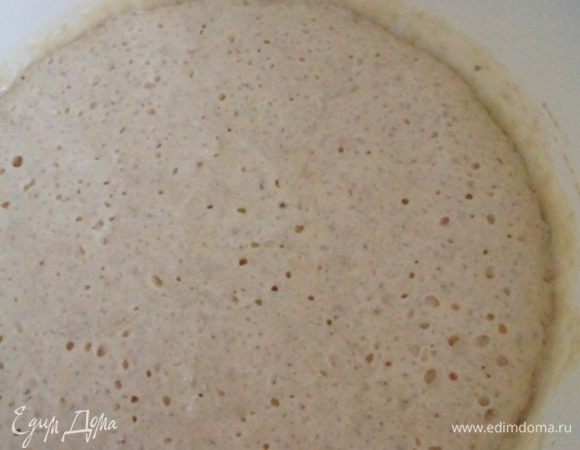 Вот такая опара через 40 минут, вся в пузырьках и подросла.