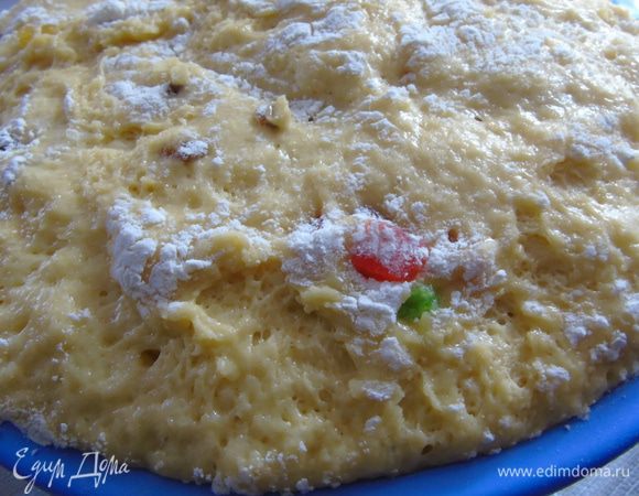 Вот такое тесто через 2,5 часа.