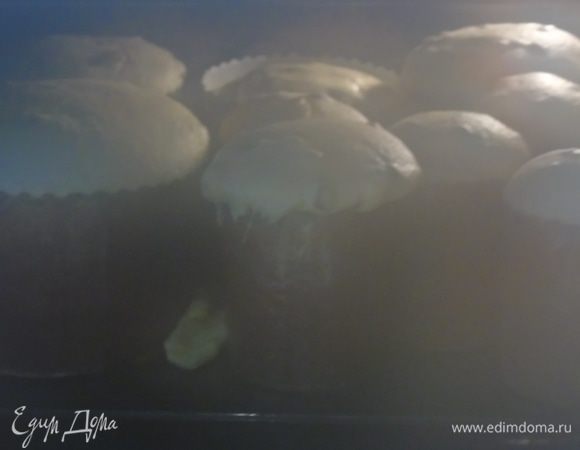 Как тесто подойдет до верха формы отправляйте выпекать в разогретую до 180°С духовку на 30-45 минут, время зависит от размера формы.