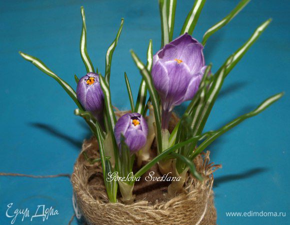 И хорошего настроения!