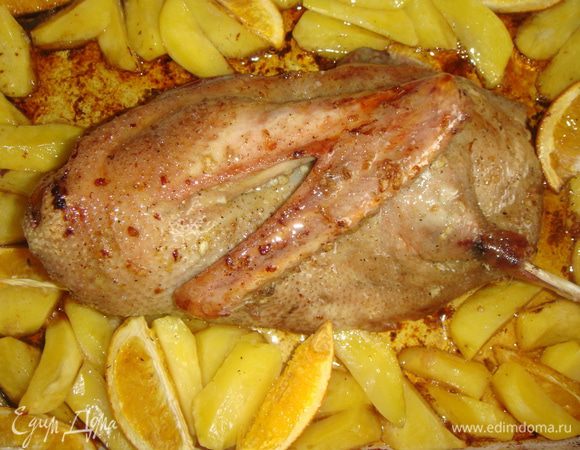 С формы снять фольгу, полить утку и картофель образовавшимся при готовке жиром и поставить обратно в духовку на 15 минут. Снова достаем форму, смазываем утку медом и отправляем в духовку еще на 15 минут.  Дать мясу «отдохнуть» в течении 15 минут.