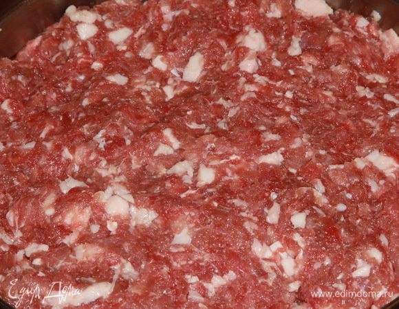 Тщательно вымешиваем фарш и на этом этапе процесс подготовки заканчивается. Отправляем фарш на сутки в холодильник.