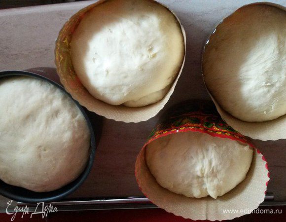 Выложить тесто в формы на 1/3 высоты и дать немного постоять (у меня были бумажные и обычные ). На фото уже немного поднялось тесто.