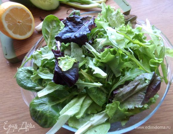 Салатный микс у меня такой: шпинат, рукола, lollo rosso, lollo biondo.
