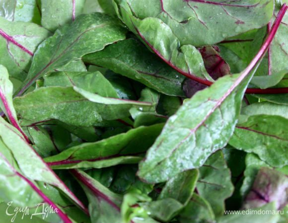 Молодые листочки свекольной ботвы тщательно перебрать и промыть в холодной воде, обсушить.