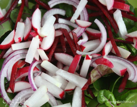 В миске смешать ботву, свеклу, лук и редис, затем выложить на тарелки.