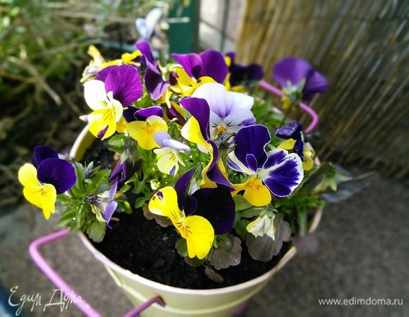 И хорошего настроения! 