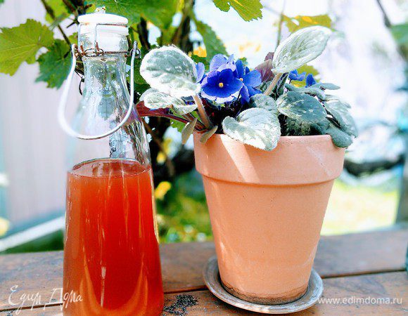 Нежный ревеневый домашний сироп готов. 