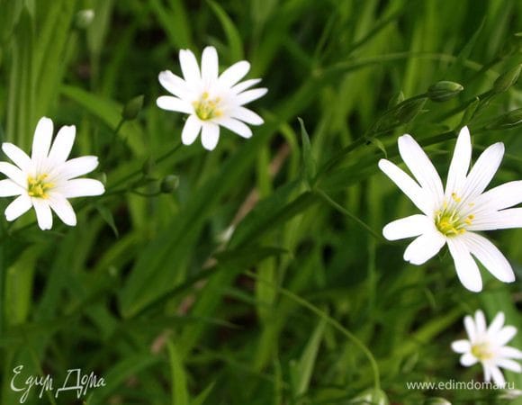 И хорошего настроения!